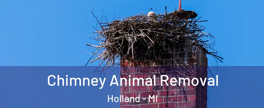 Chimney Animal Removal Holland - MI
