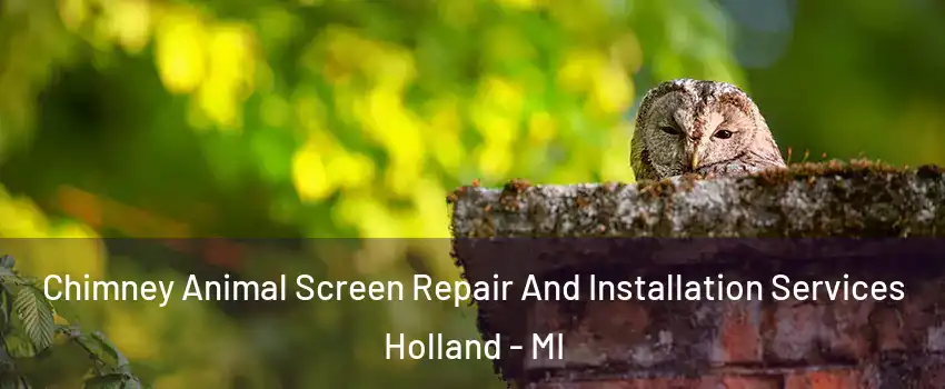  Chimney Animal Screen Repair And Installation Services Holland - MI