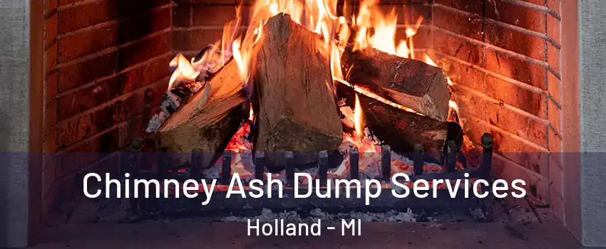  Chimney Ash Dump Services Holland - MI