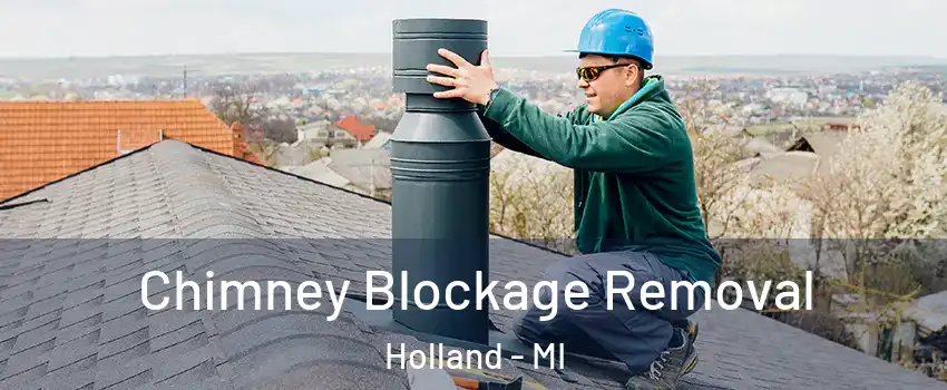  Chimney Blockage Removal Holland - MI