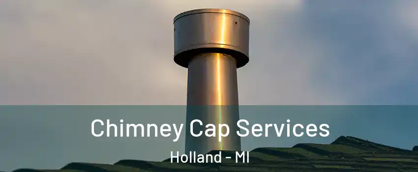  Chimney Cap Services Holland - MI