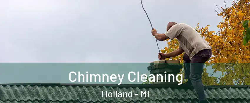  Chimney Cleaning Holland - MI