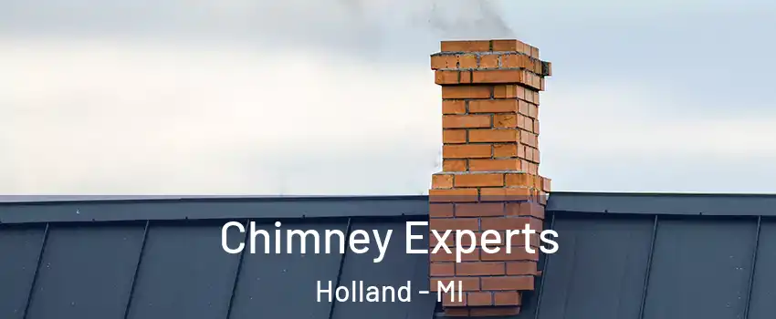 Chimney Experts Holland - MI