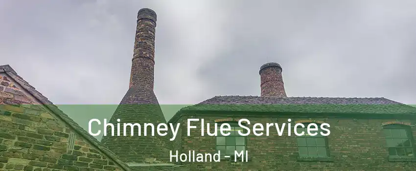  Chimney Flue Services Holland - MI