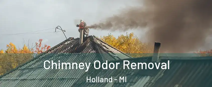  Chimney Odor Removal Holland - MI
