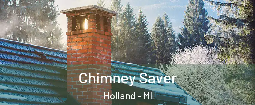  Chimney Saver Holland - MI