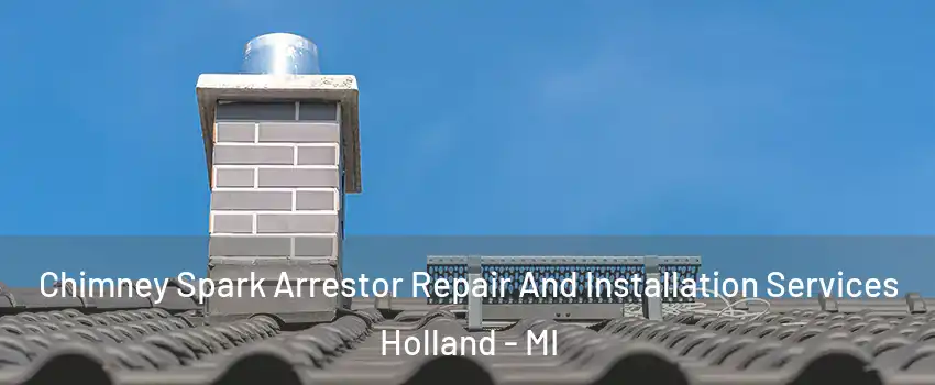  Chimney Spark Arrestor Repair And Installation Services Holland - MI