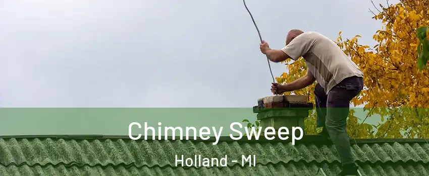  Chimney Sweep Holland - MI