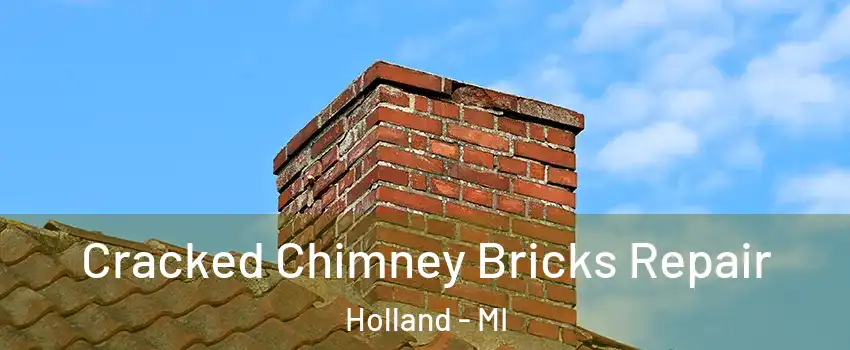  Cracked Chimney Bricks Repair Holland - MI