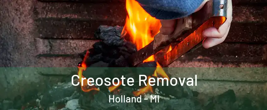  Creosote Removal Holland - MI