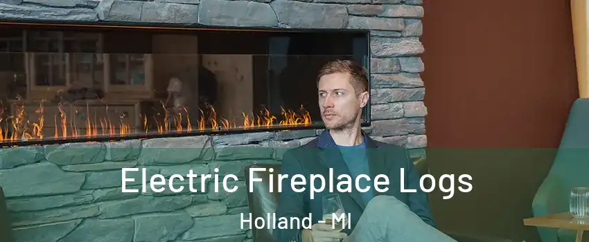  Electric Fireplace Logs Holland - MI
