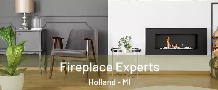  Fireplace Experts Holland - MI