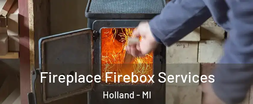  Fireplace Firebox Services Holland - MI