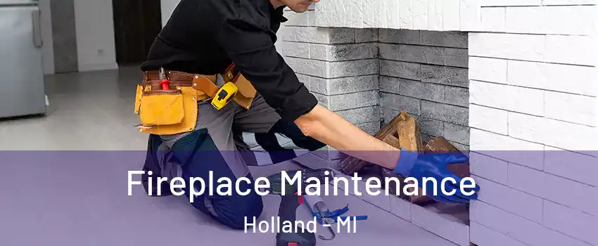  Fireplace Maintenance Holland - MI