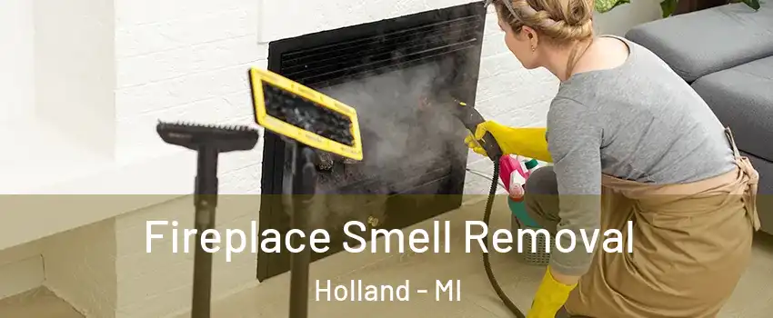  Fireplace Smell Removal Holland - MI