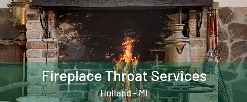  Fireplace Throat Services Holland - MI