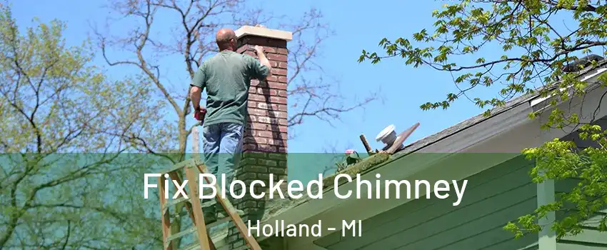  Fix Blocked Chimney Holland - MI