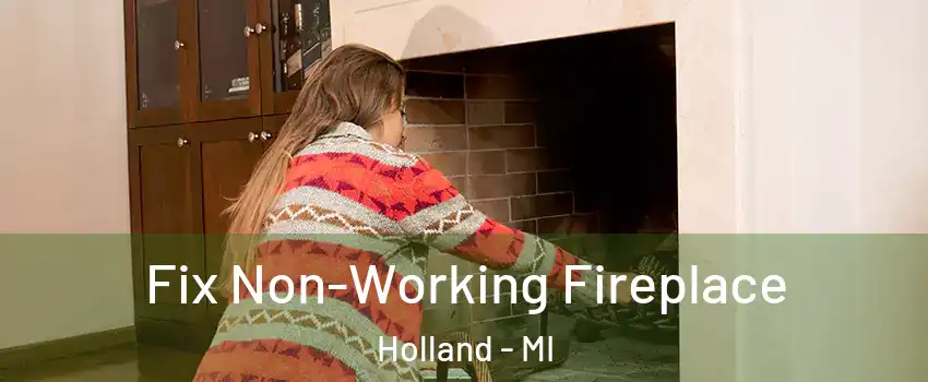  Fix Non-Working Fireplace Holland - MI