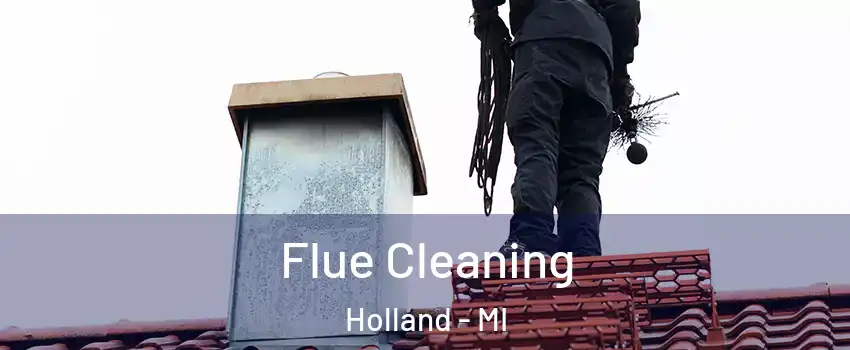  Flue Cleaning Holland - MI