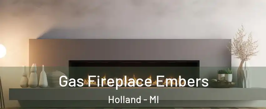  Gas Fireplace Embers Holland - MI