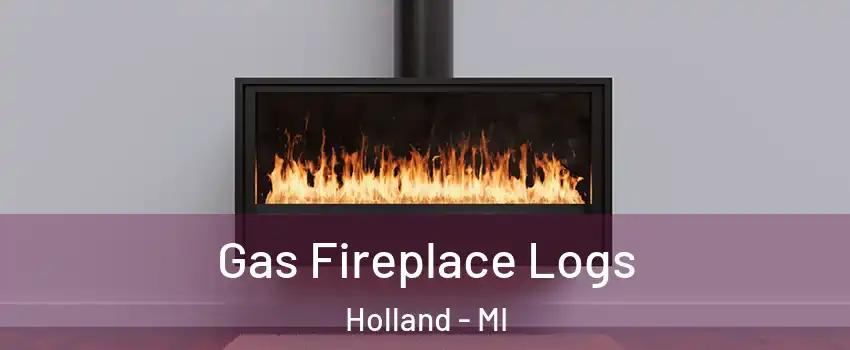  Gas Fireplace Logs Holland - MI