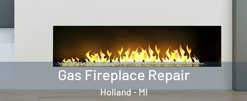  Gas Fireplace Repair Holland - MI