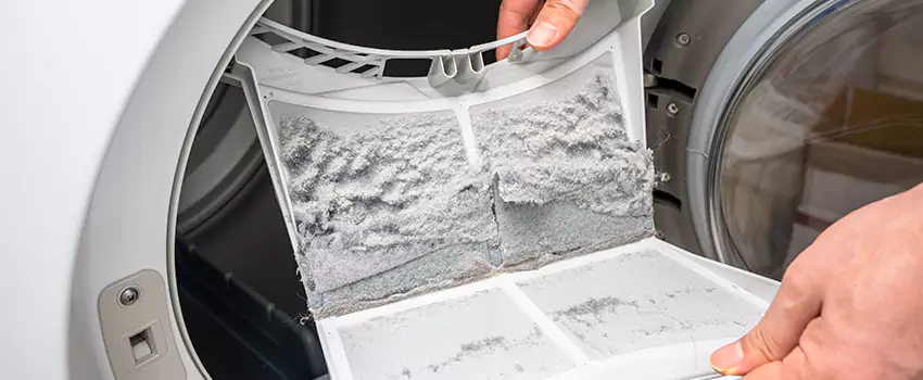 Best Dryer Lint Removal Company in Holland, Michigan
