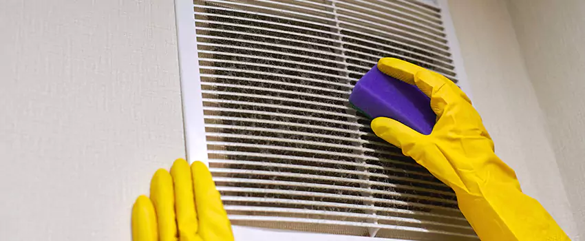 Vent Cleaning Company in Holland, MI