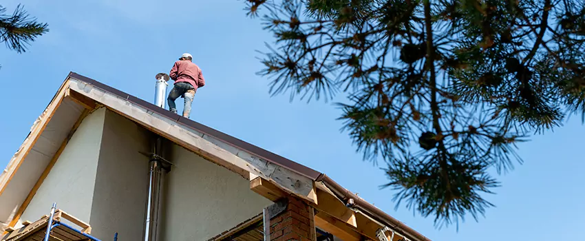 Birds Removal Contractors from Chimney in Holland, MI