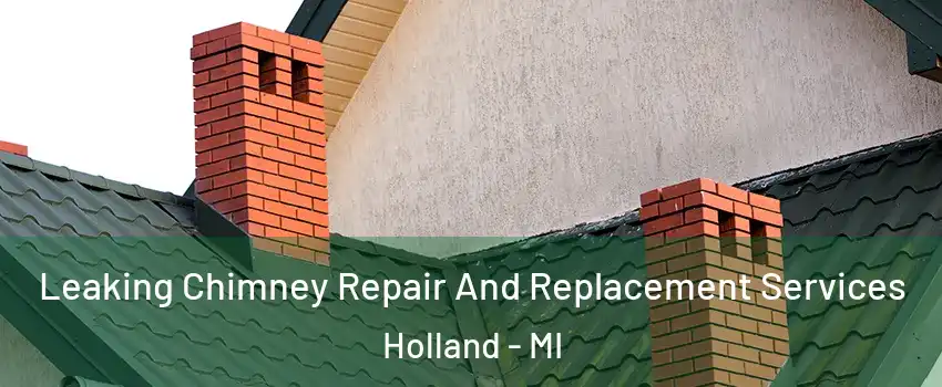  Leaking Chimney Repair And Replacement Services Holland - MI