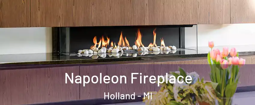  Napoleon Fireplace Holland - MI