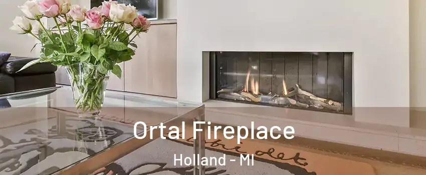 Ortal Fireplace Holland - MI