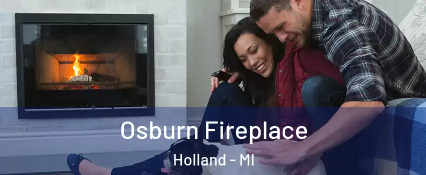  Osburn Fireplace Holland - MI