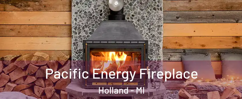  Pacific Energy Fireplace Holland - MI