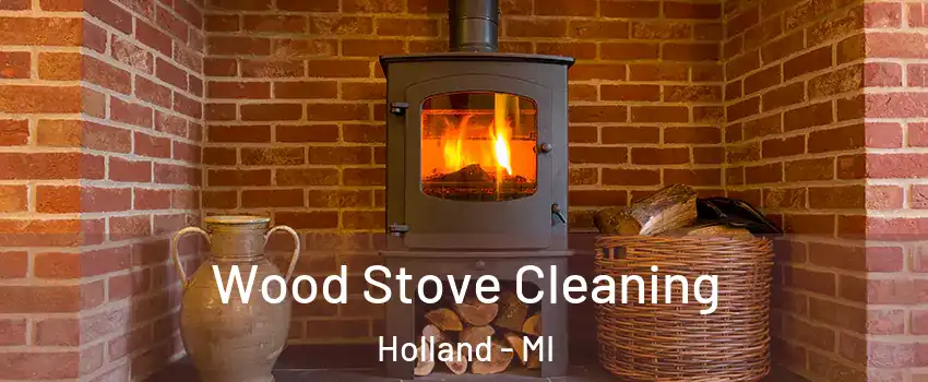  Wood Stove Cleaning Holland - MI